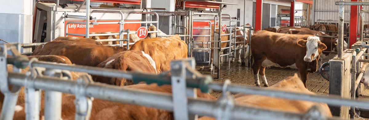 (c) Lelycenterinbayern.de